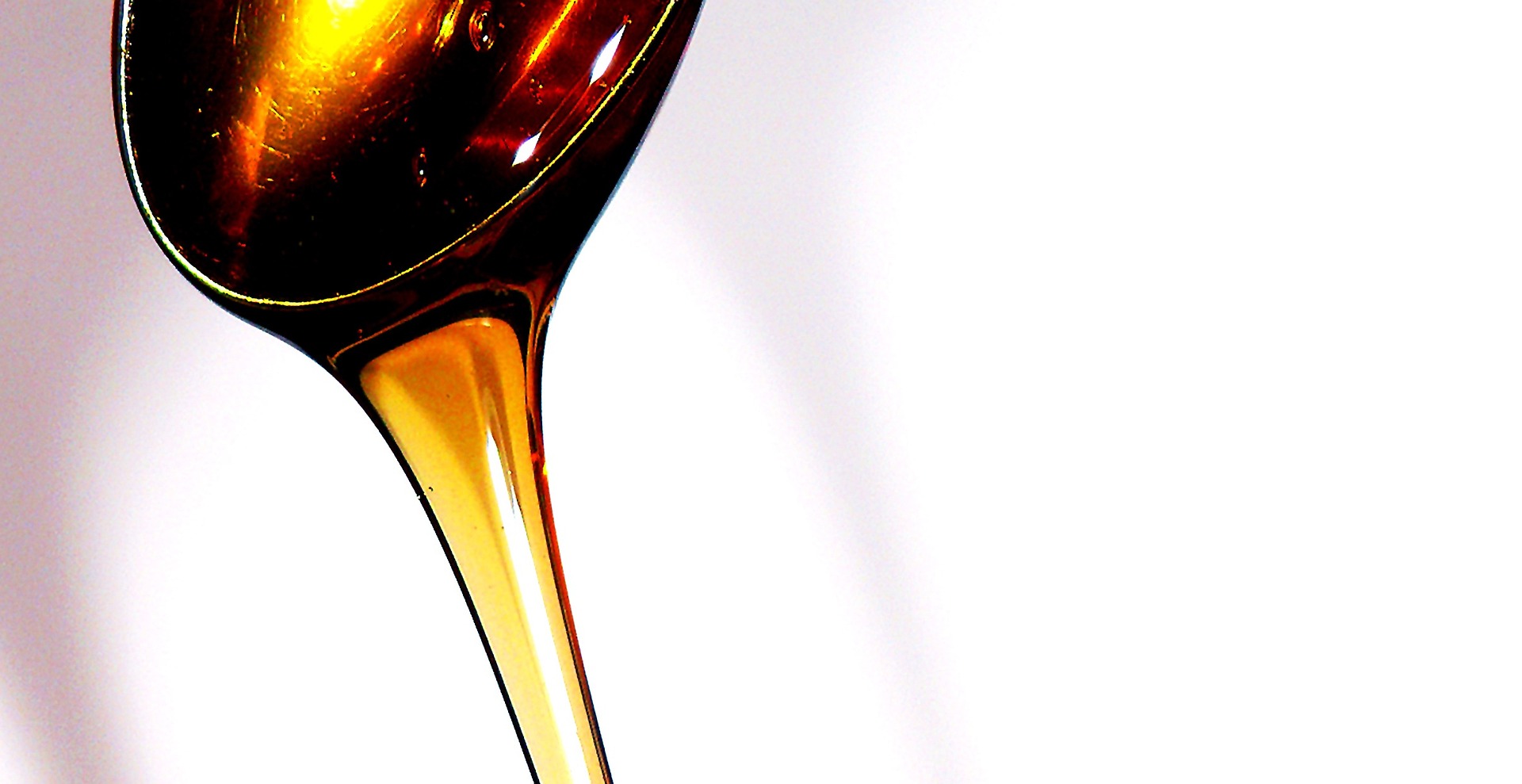 Czy propolis jest zdrowy