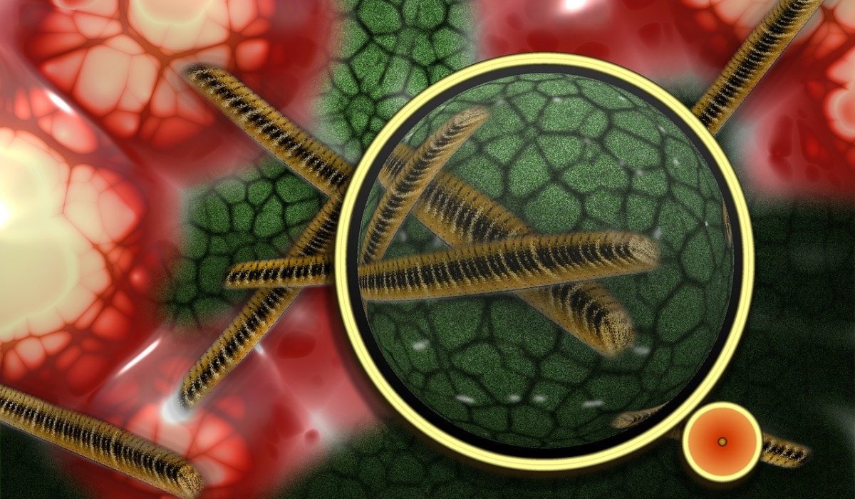 bacteria-108895_1280