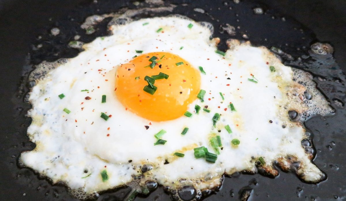 fried-egg-703904_1280
